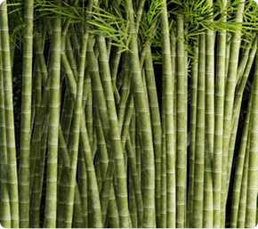 what  is natural products