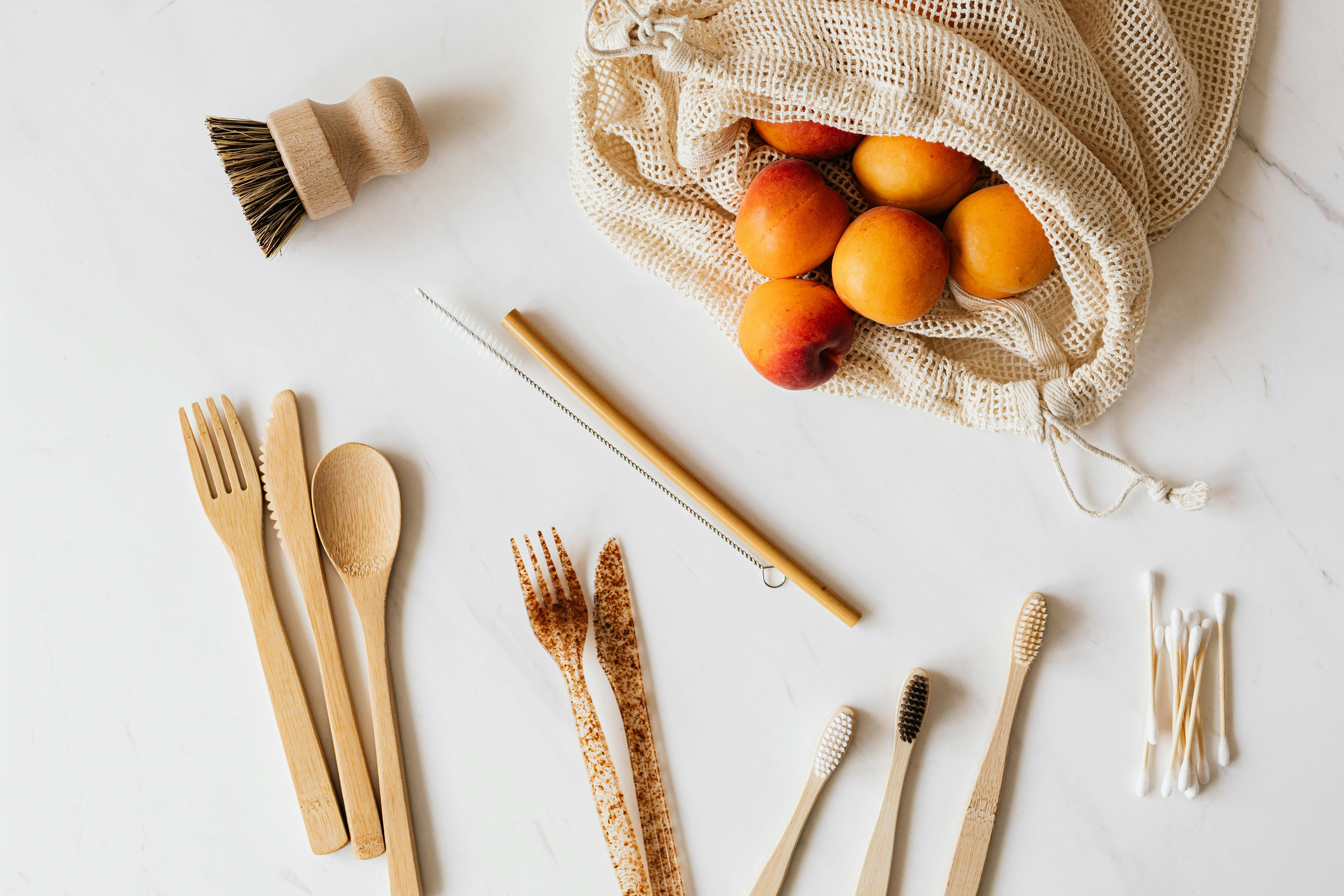Eco-Friendly Tableware